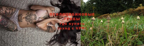 ALPHA PVP Вяземский